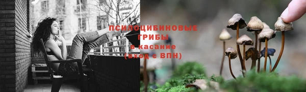 ешки Богданович